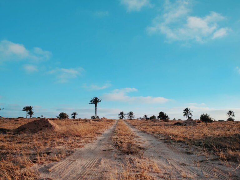 How to become rich in just five steps?